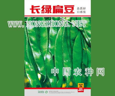 长绿扁豆